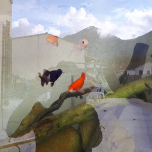 Publication de La_Loutre_du_Printemps