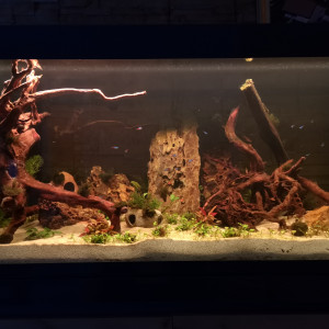 aquavelva