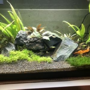 80l