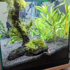 Publication de Clems