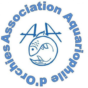 club aquariophilie Association aquariophilie d'Orchies