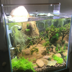 Publication de Stef7524