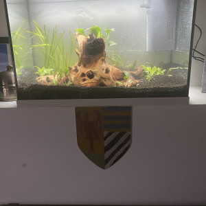 70l