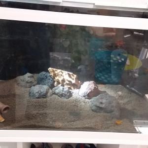 Publication de Elodee.42