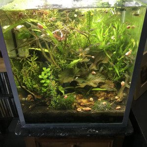 Publication de le-pratn