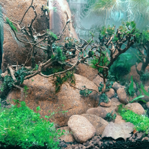 Publication de Stef7524