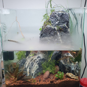 Publication de Minipote768