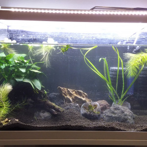 Publication de Elodee.42