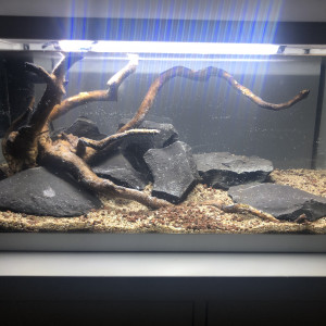 Publication de Lottomans