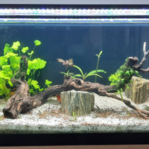 AquaPlouf 120L