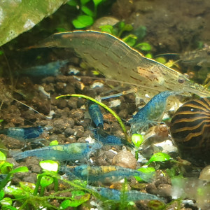 Publication de vincent-dubuisson