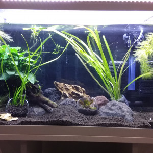 Publication de Elodee.42