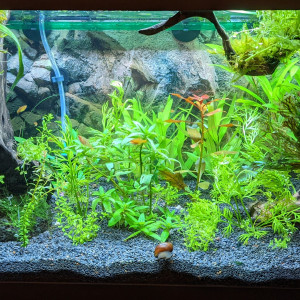 Publication de Clems