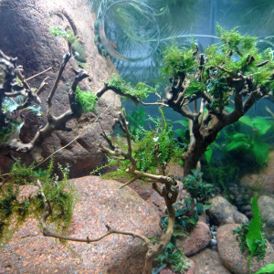 Publication de Stef7524