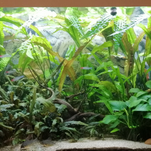 125L communautaire