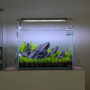 Publication de cedric_scape