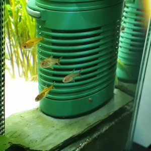 Publication de Aquata