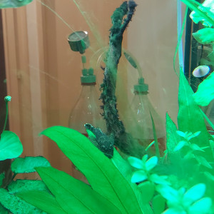 Publication de philippe-vallat