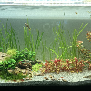 Publication de Alexxis