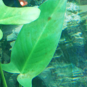 Publication de Julienmelanie72300