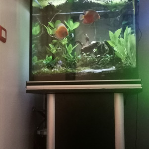 Publication de Yves_Aquallauch