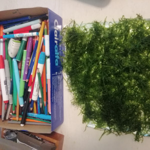 Publication de dams-soa