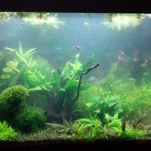 Publication de Fouch1