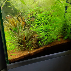 Publication de Fouch1