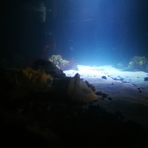 1500l eau de mer bretagne