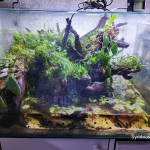 Publication de symboule