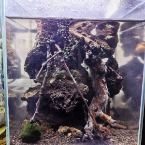 Publication de symboule