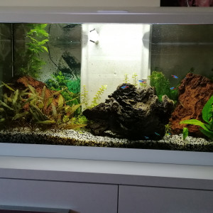 Publication de Louvic2