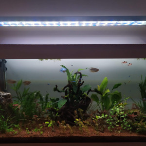 Publication de Yakiiz