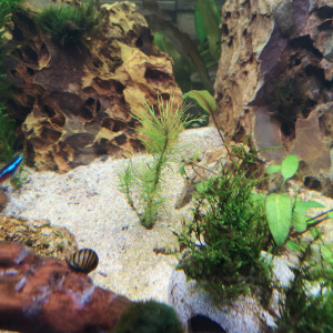 Publication de Jean68