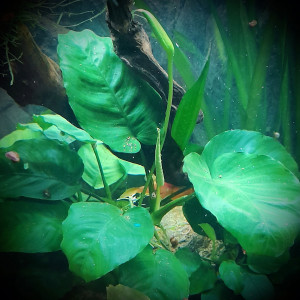 Publication de Lulu82