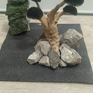 Publication de Lionel.jo