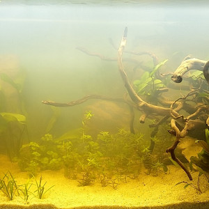 Publication de Ophe73