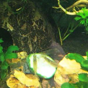 Publication de Cicam83