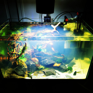 Publication de Brap123