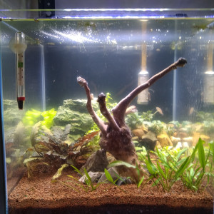 Publication de Lionel.jo