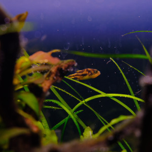 Publication de Jo2212