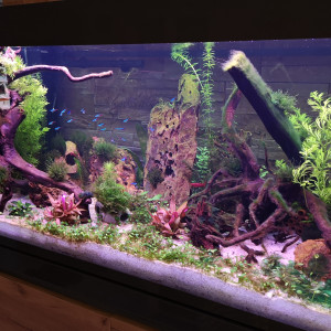 Publication de Jean68