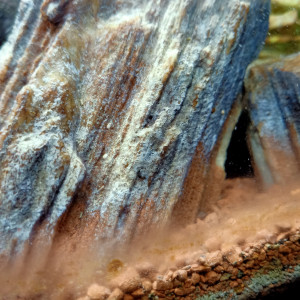 Publication de houdak-apapak