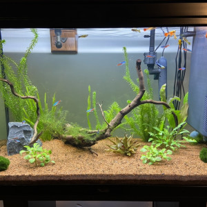 Publication de marius-moullec