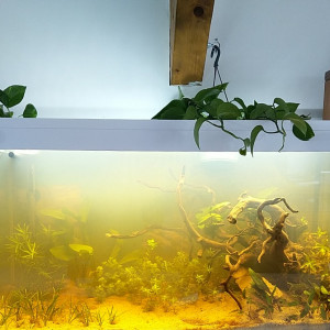 Publication de Ophe73