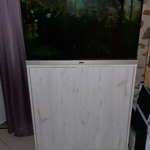 Publication de Fouch1