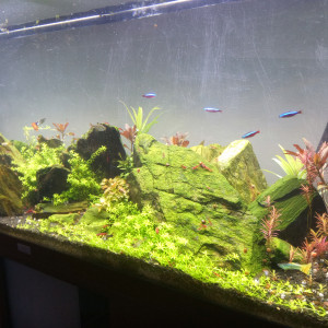 Publication de Wakiza