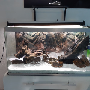 Publication de Papatroll