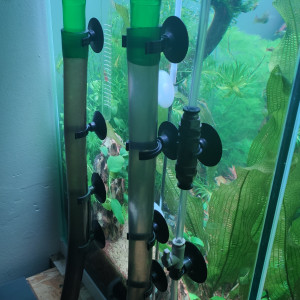 Publication de TortueGeniale91