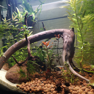 Publication de MayZark